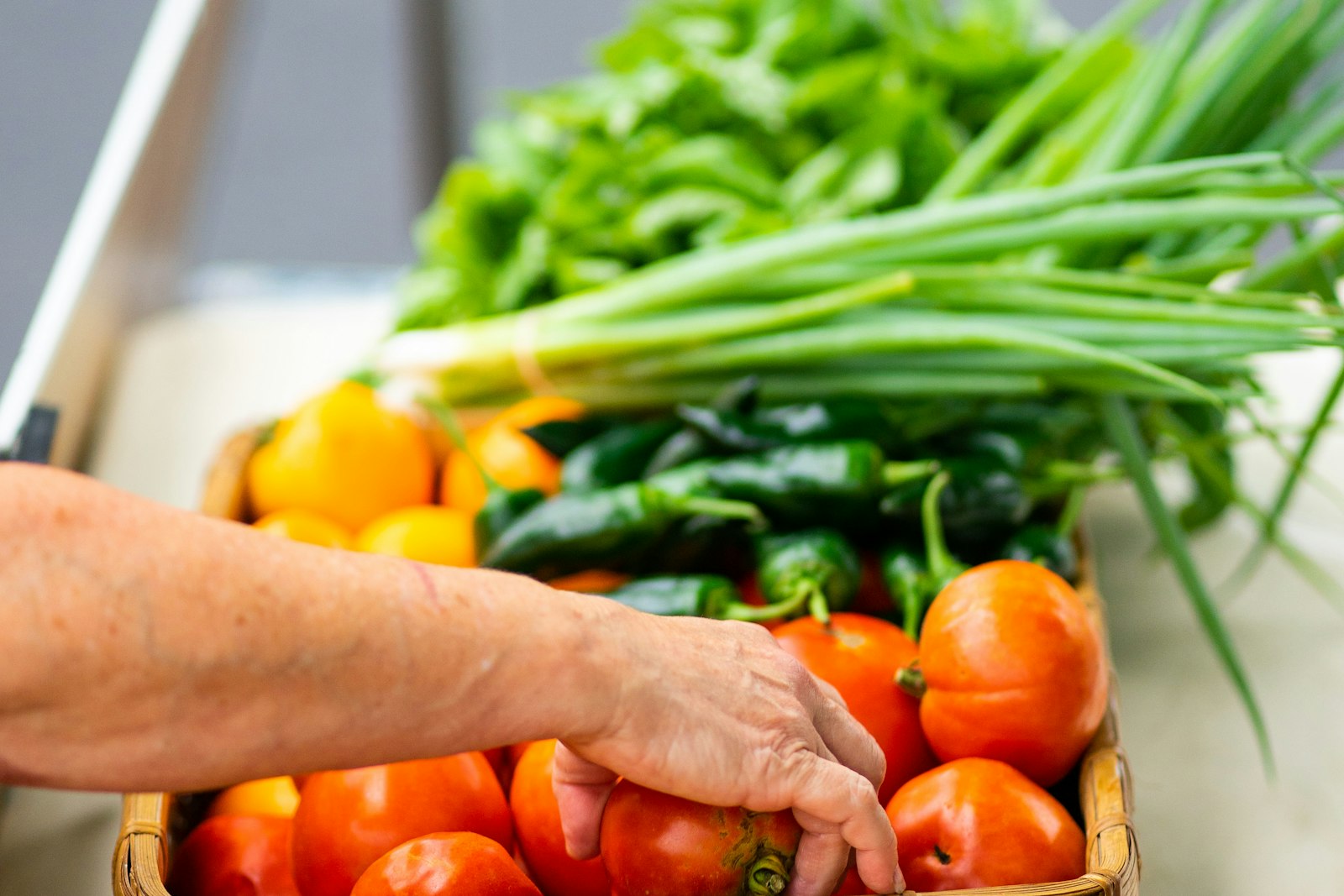 A basket of fresh vegetables from local growers