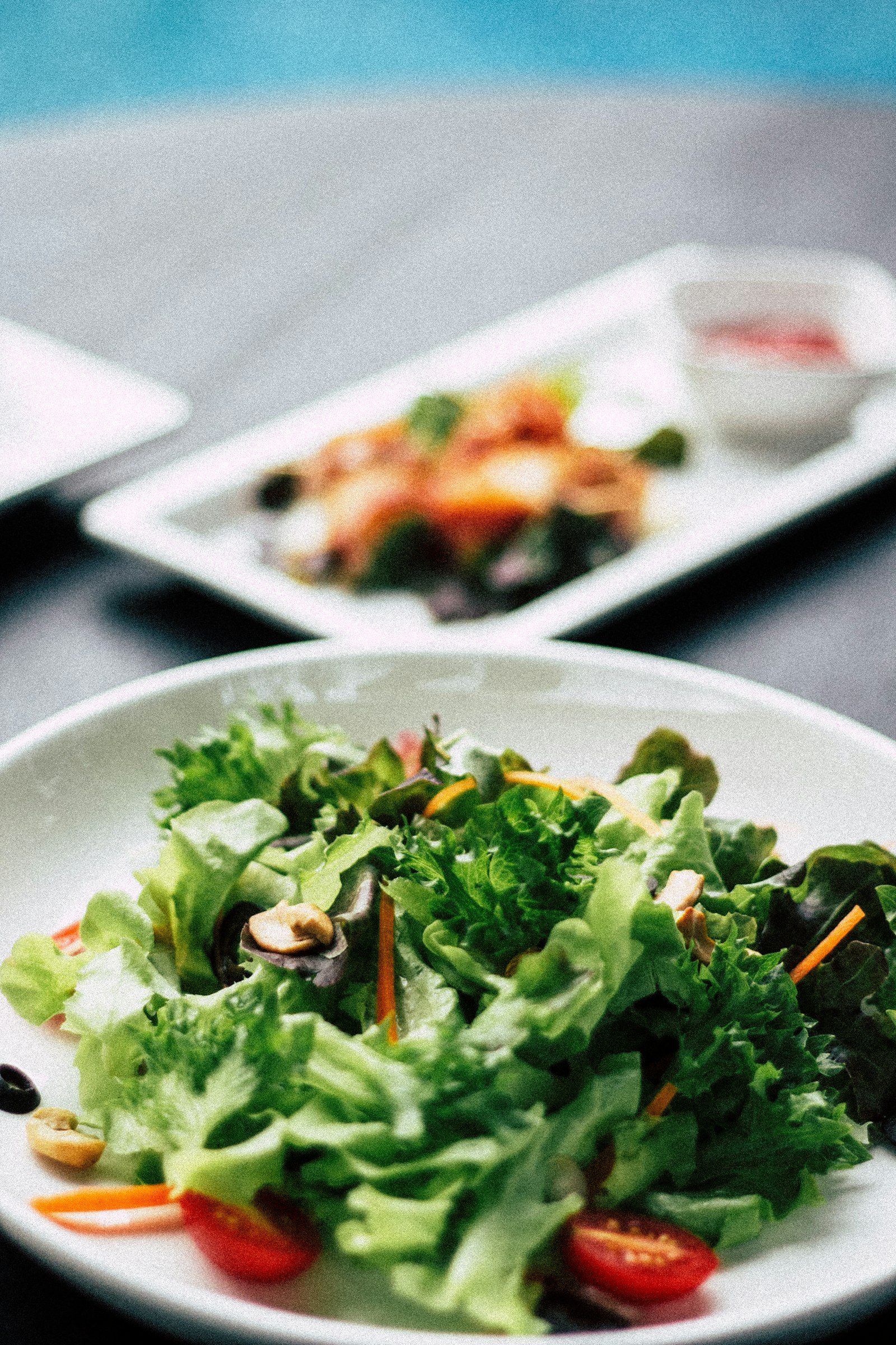 Fresh green salad plated on a white dish